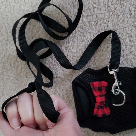 Harness - Picture 6 of 6